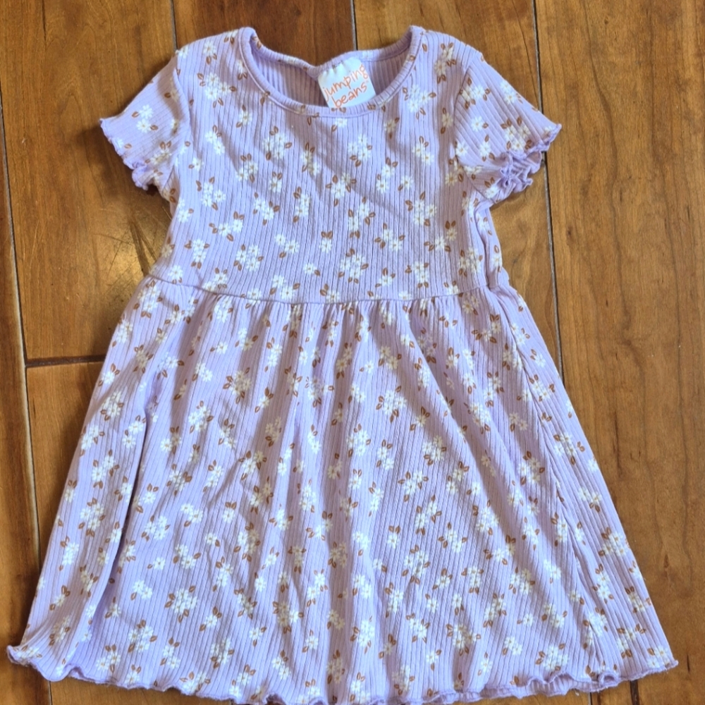 Jumping Beans Purple Dress 2T